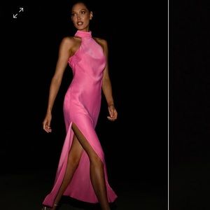 NWT CLAIRE MESHKI DRESS IN PINK